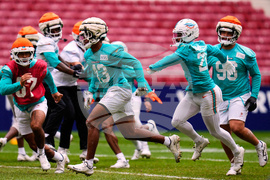Dolphins Football