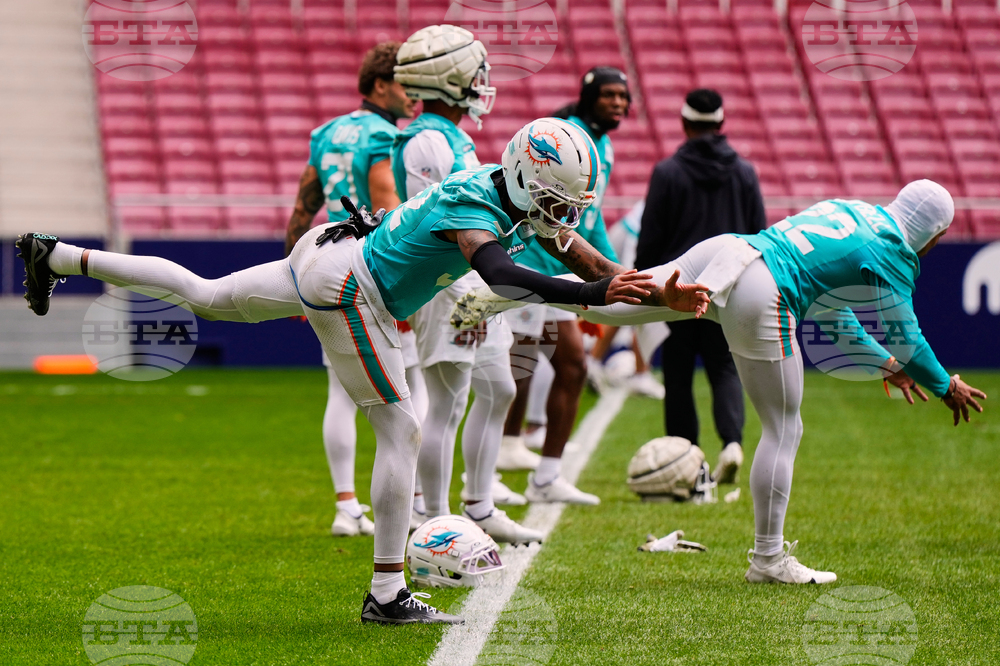 Dolphins Football