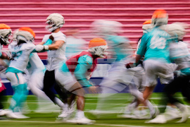 Dolphins Football