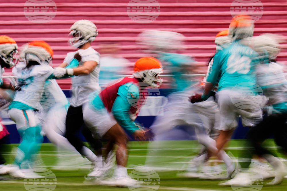 Dolphins Football