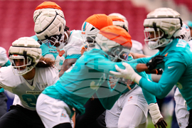 Dolphins Football