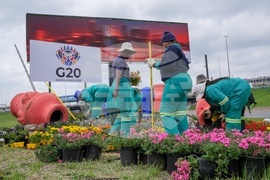 South Africa G20