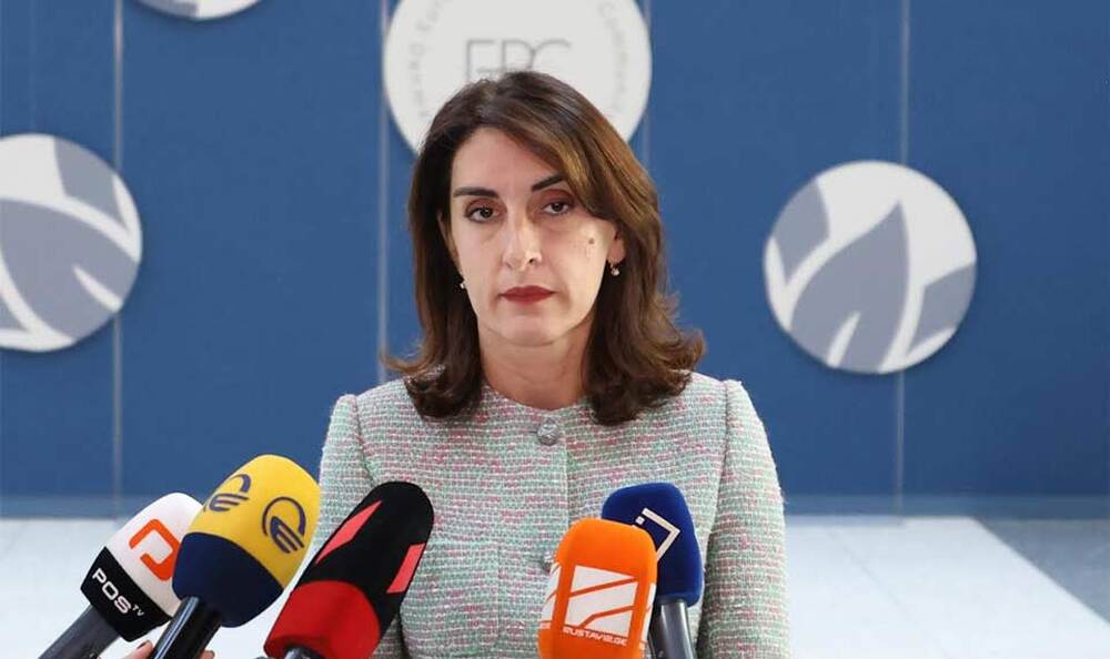 ГПБ: Грузинският външен министър заяви, че страната не е отхвърлила интеграцията в ЕС