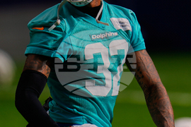 Dolphins Football