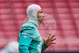 Dolphins Football