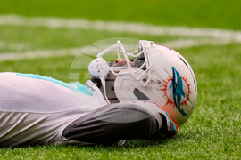 Dolphins Football