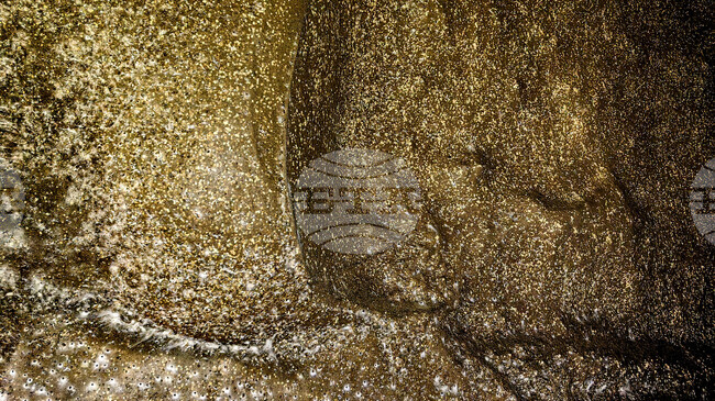 Гигантска паяжина със 111 000 паяка в нея беше открита в пещера на границата между Албания и Гърция