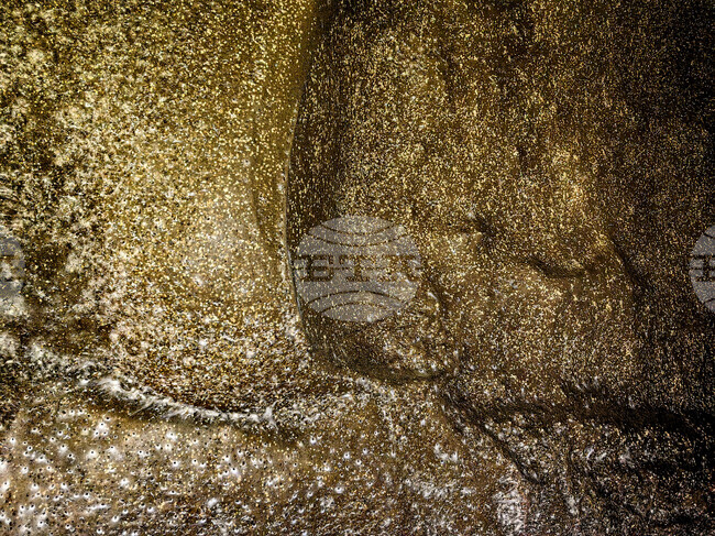 Гигантска паяжина със 111 000 паяка в нея беше открита в пещера на границата между Албания и Гърция