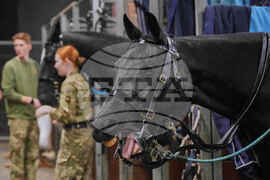 APTOPIX Britain Gun Salute