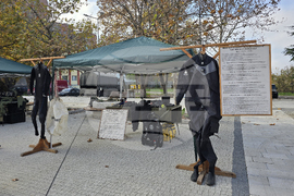 Свищов - кампания - военна професия