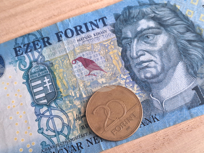 Валутите на страните от Централна Европа догодина ще отстъпят от достигнатите върхове, сочи проучване на Ройтерс