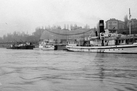 На Русенското пристанище