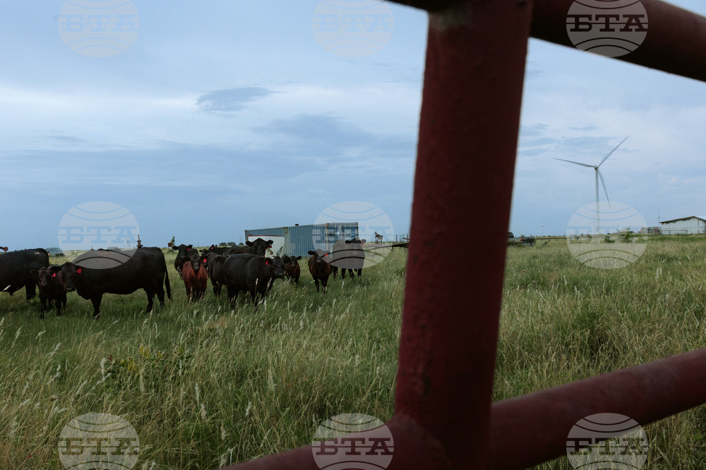 Rural Hospital-Labor and Delivery