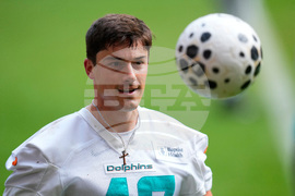Dolphins Football