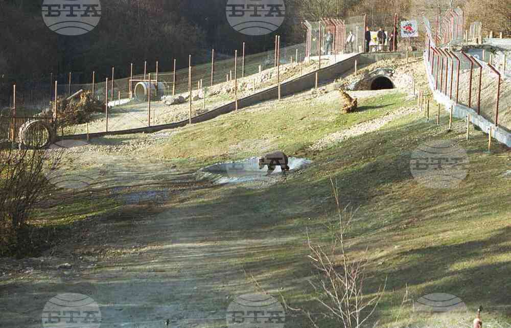 Преди 25 години, край Белица, е открит първият на Балканите и в Източна Европа център за танцуващи мечки