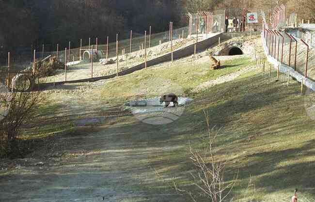 БТА: ОТ АРХИВИТЕ