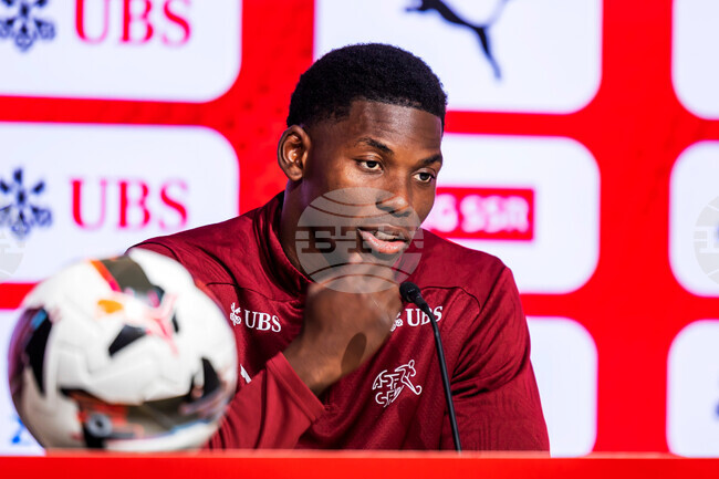 Switzerland Swedend World Cup Soccer