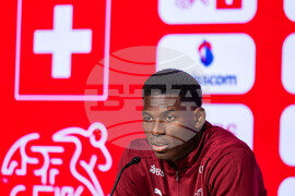 Switzerland Swedend World Cup Soccer