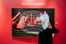 France XMAGE Photography Awards 2025