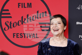 Sweden Film Festival