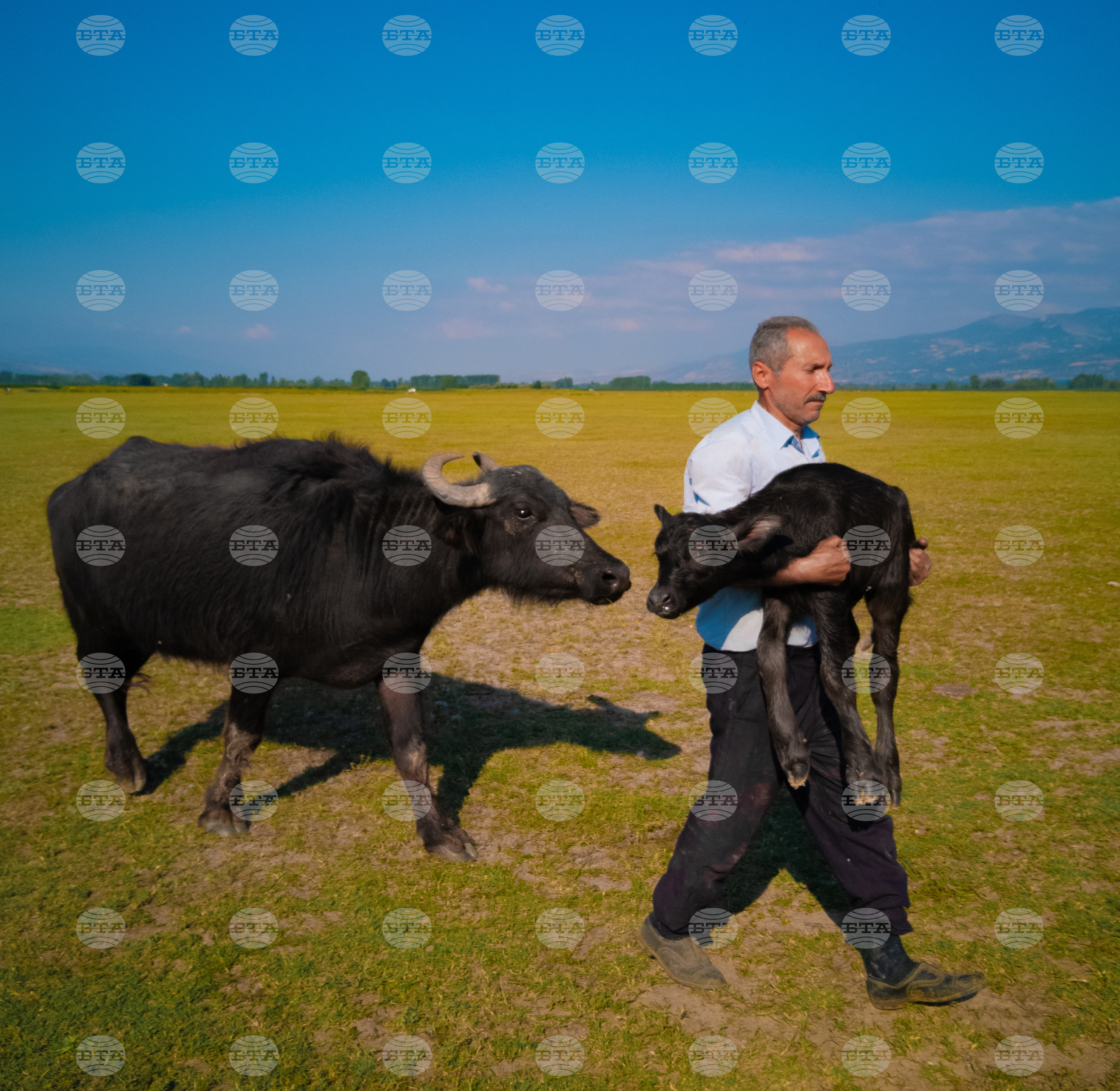 France XMAGE Photography Awards 2025