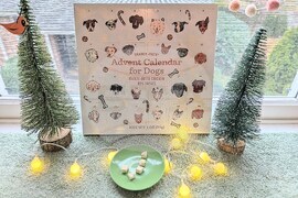 YE-Holiday-Gift-Guide-Countdown-Calendars