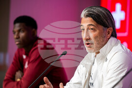 Switzerland Sweden World Cup Soccer