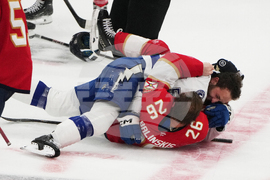 Lightning Panthers Rivalry Hockey