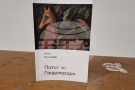 Скопие - книга - представяне