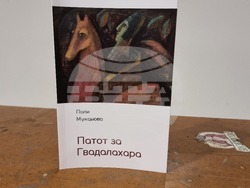 Скопие - книга - представяне