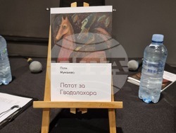 Скопие - книга - представяне