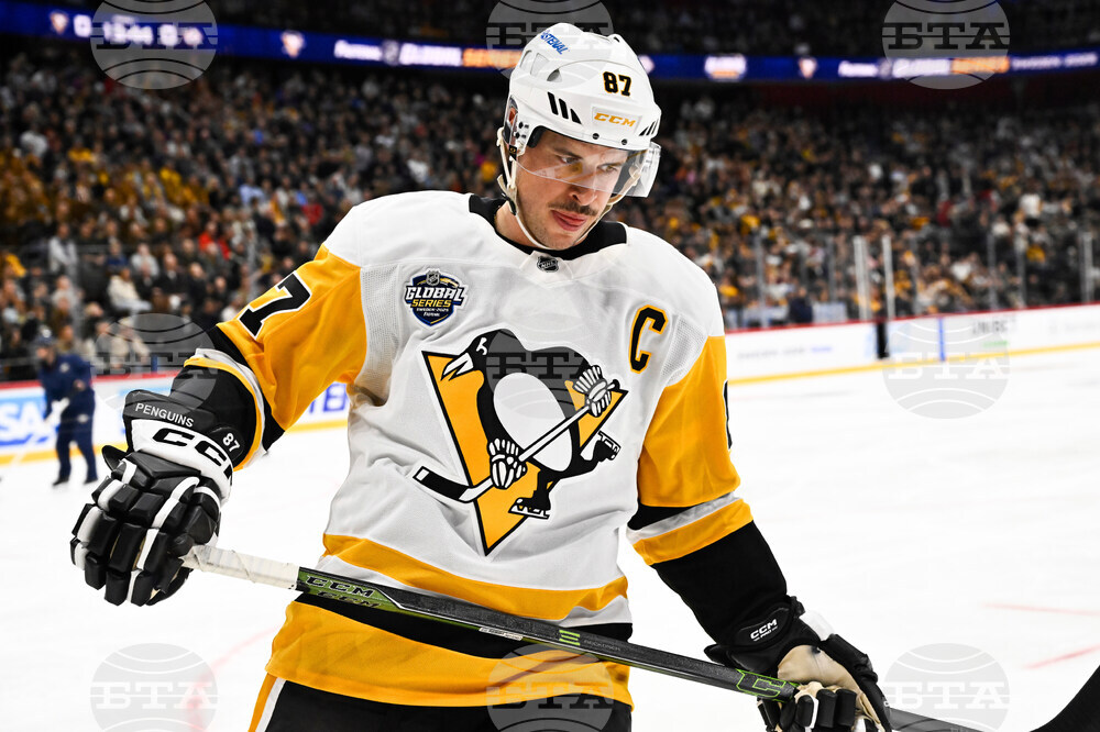 Sweden Predators Penguins Hockey