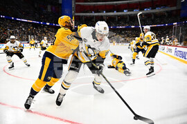 Sweden Predators Penguins Hockey