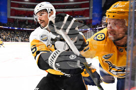 Sweden Predators Penguins Hockey