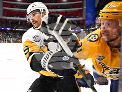 Sweden Predators Penguins Hockey