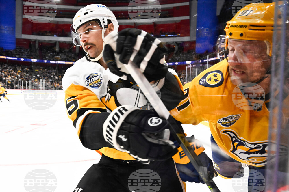 Sweden Predators Penguins Hockey