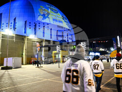 Sweden Predators Penguins Hockey