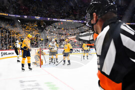 Sweden Predators Penguins Hockey