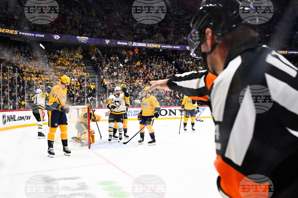 Sweden Predators Penguins Hockey