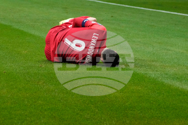 Poland Netherlands WCup Soccer