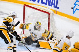 Sweden Predators Penguins Hockey