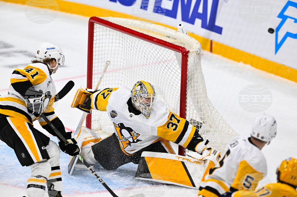 Sweden Predators Penguins Hockey