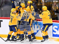 Sweden Predators Penguins Hockey