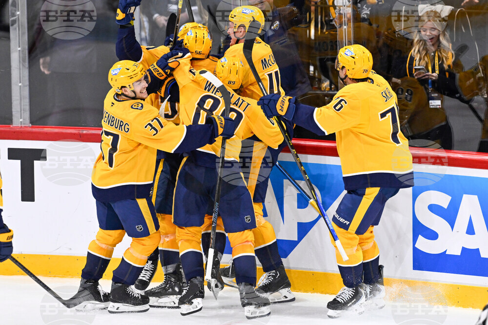 Sweden Predators Penguins Hockey