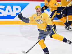 Sweden Predators Penguins Hockey