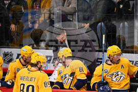 Sweden Predators Penguins Hockey