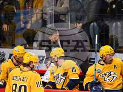 Sweden Predators Penguins Hockey