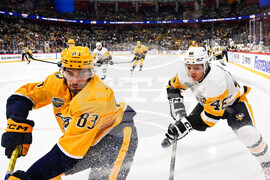 Sweden Predators Penguins Hockey