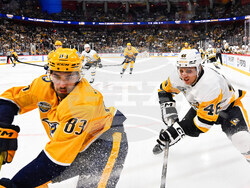 Sweden Predators Penguins Hockey