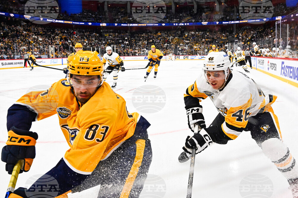 Sweden Predators Penguins Hockey